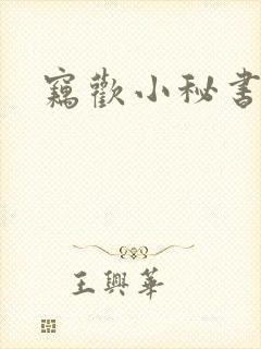 窃欢小秘书