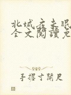 北城夜未眠小说全文阅读免费