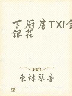 下厨房TXl金银花