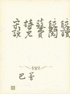 宋持苏皎皎的小说免费阅读