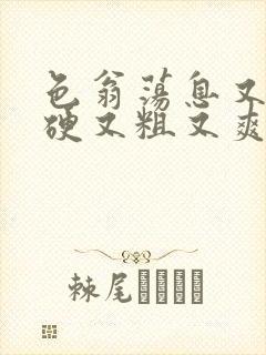 色翁荡息又大又硬又粗又爽