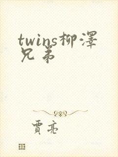 twins柳泽兄弟