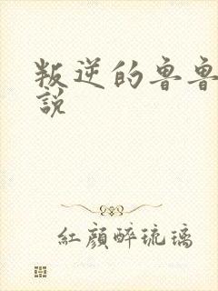 叛逆的鲁鲁修小说