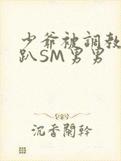 少爷被调教室跪趴SM男男