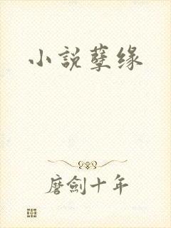 小说孽缘