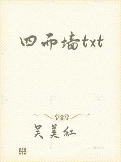 四面墙txt