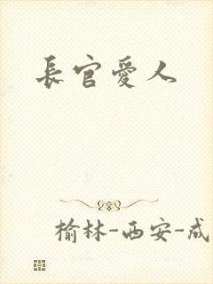 长官爱人