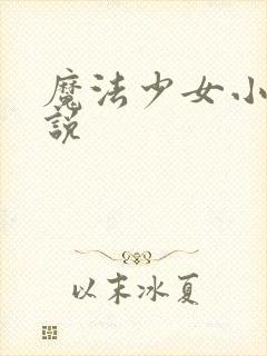 魔法少女小圆小说