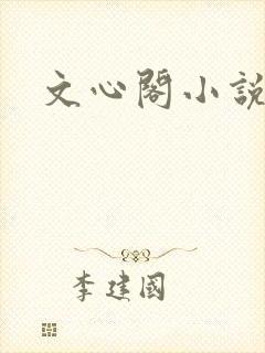 文心阁小说