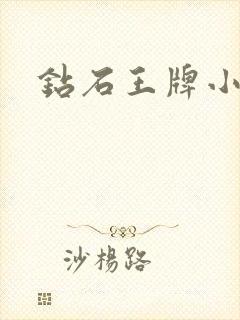钻石王牌小说