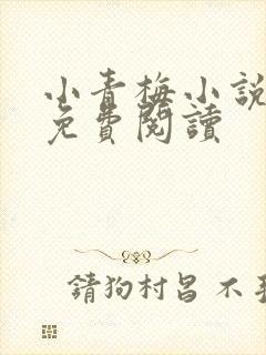 小青梅小说全文免费阅读