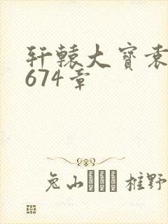 轩辕大宝袁雪妃674章