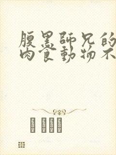 腹黑师兄的日常肉食动物不食草