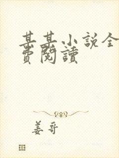 某某小说全文免费阅读