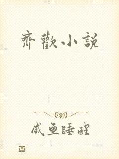 齐欢小说
