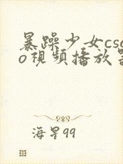 暴躁少女csgo视频播放器推荐