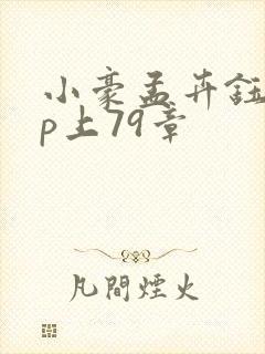 小豪孟卉钰慧三p上79章