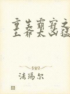 重生霸宠之摄政王爷太凶猛