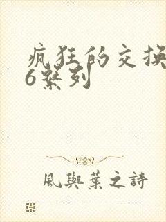 疯狂的交换1一6系列