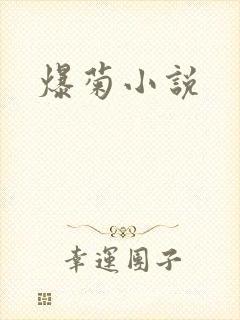 爆菊小说