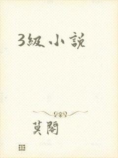 3级小说