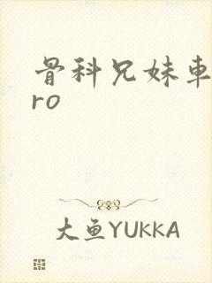 骨科兄妹车多pro