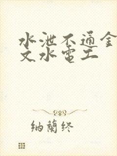 水泄不通金银原文水电工