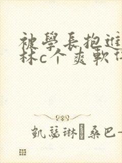 被学长抱进小树林c个爽软件