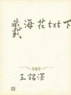 藏海花txt下载