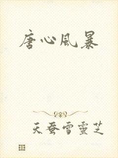唐心风暴