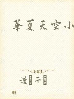 华夏天空小说网