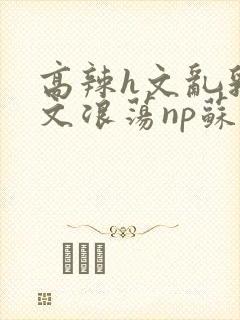 高辣h文乱乳h文浪荡np苏夏