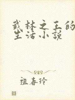 武林之王的退隐生活小说