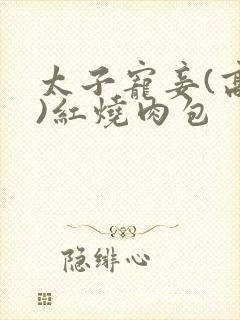 太子宠妾(高肉)红烧肉包