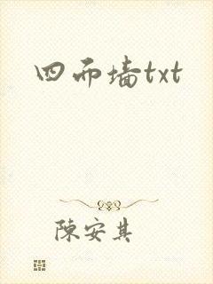 四面墙txt