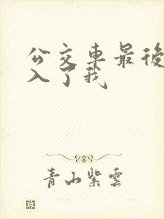 公交车最后一排入了我