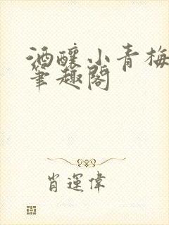 酒酿小青梅po笔趣阁