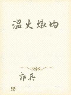 温火炖肉