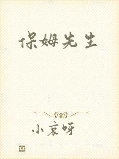 保姆先生