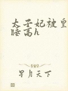 太子妃被皇上强睡高h