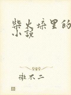 柴火垛里的疯狂小说