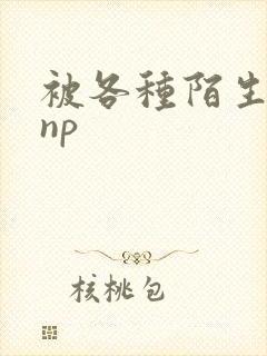 被各种陌生人 np