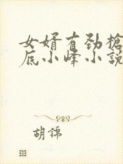 女婿有劲枪枪到底小峰小说