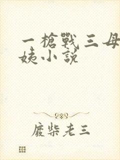 一枪战三母2雪姨小说