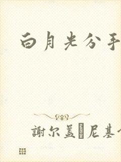 白月光分手日常