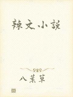 辣文小说