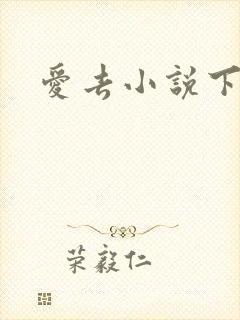 爱去小说下载网