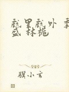 戏里戏外 季淮盛 林栀