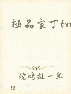 极品家丁txt