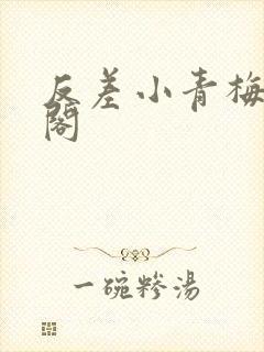 反差小青梅笔趣阁